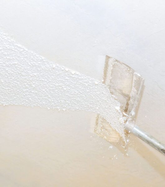 Popcorn_Ceiling